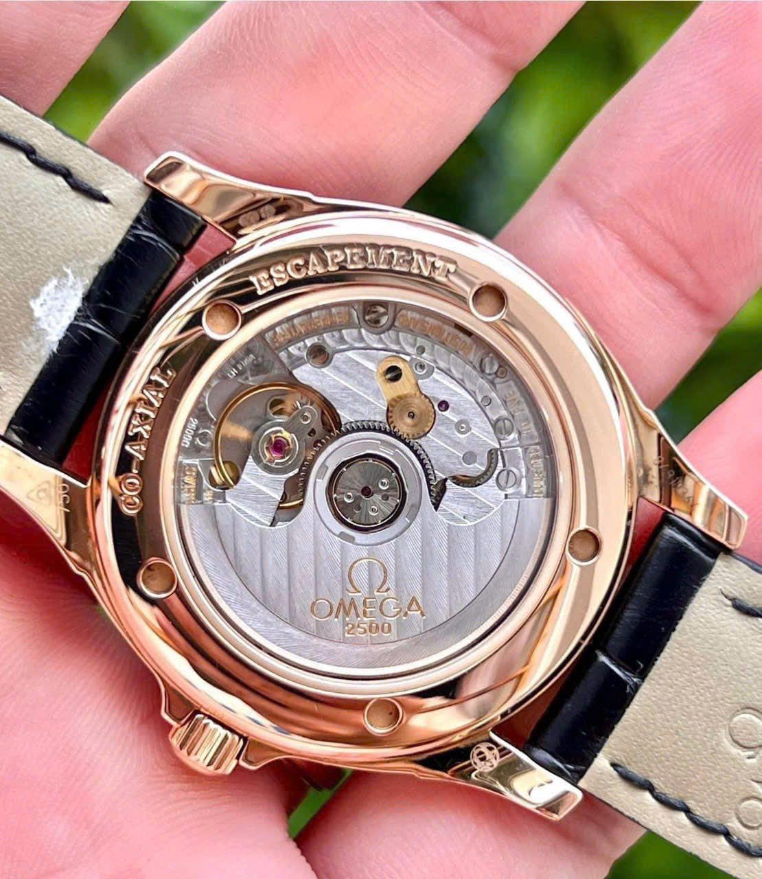 6856430b402d11982682d5bd