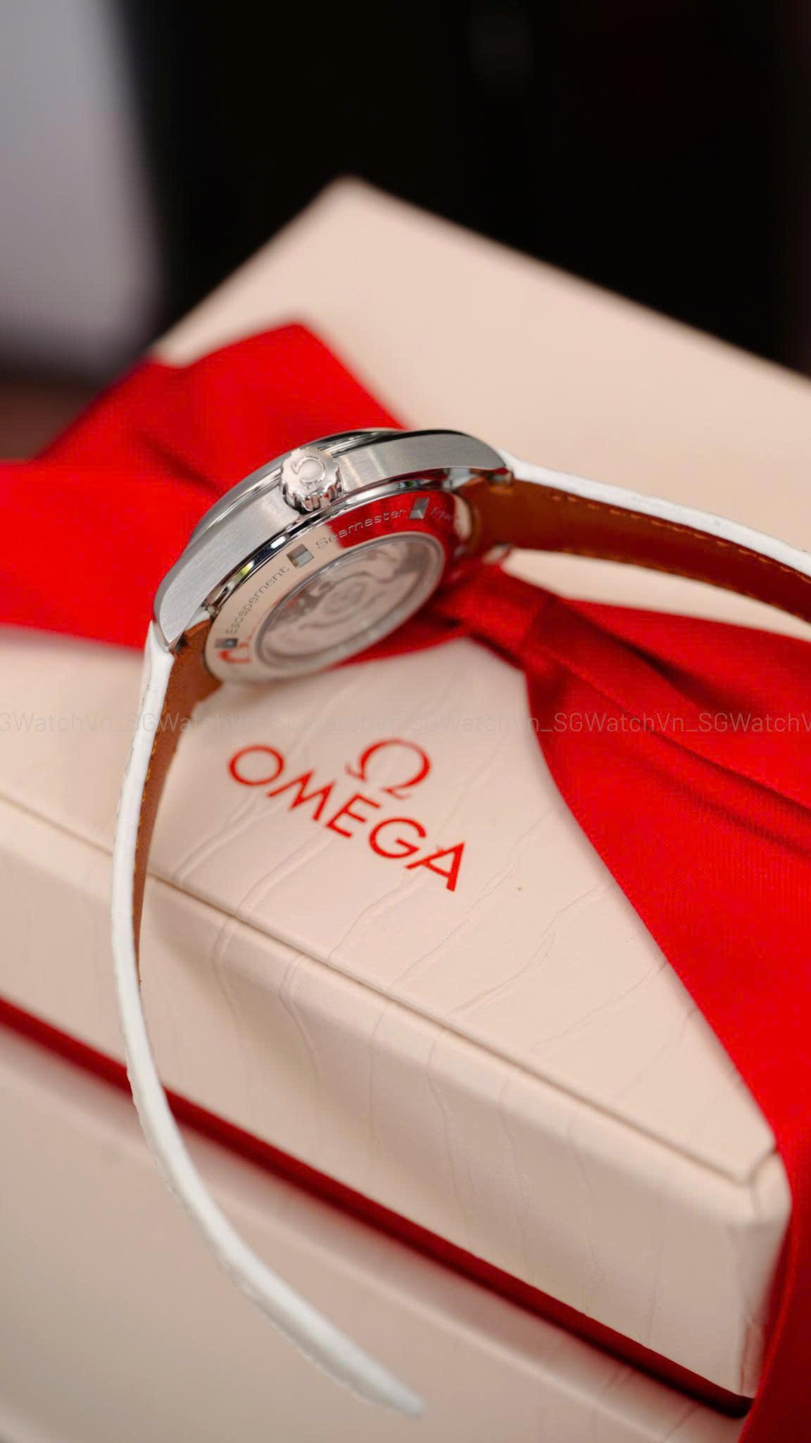 Omega Seamaster Aqua Terra 150M  231.13.34.20.55.001
