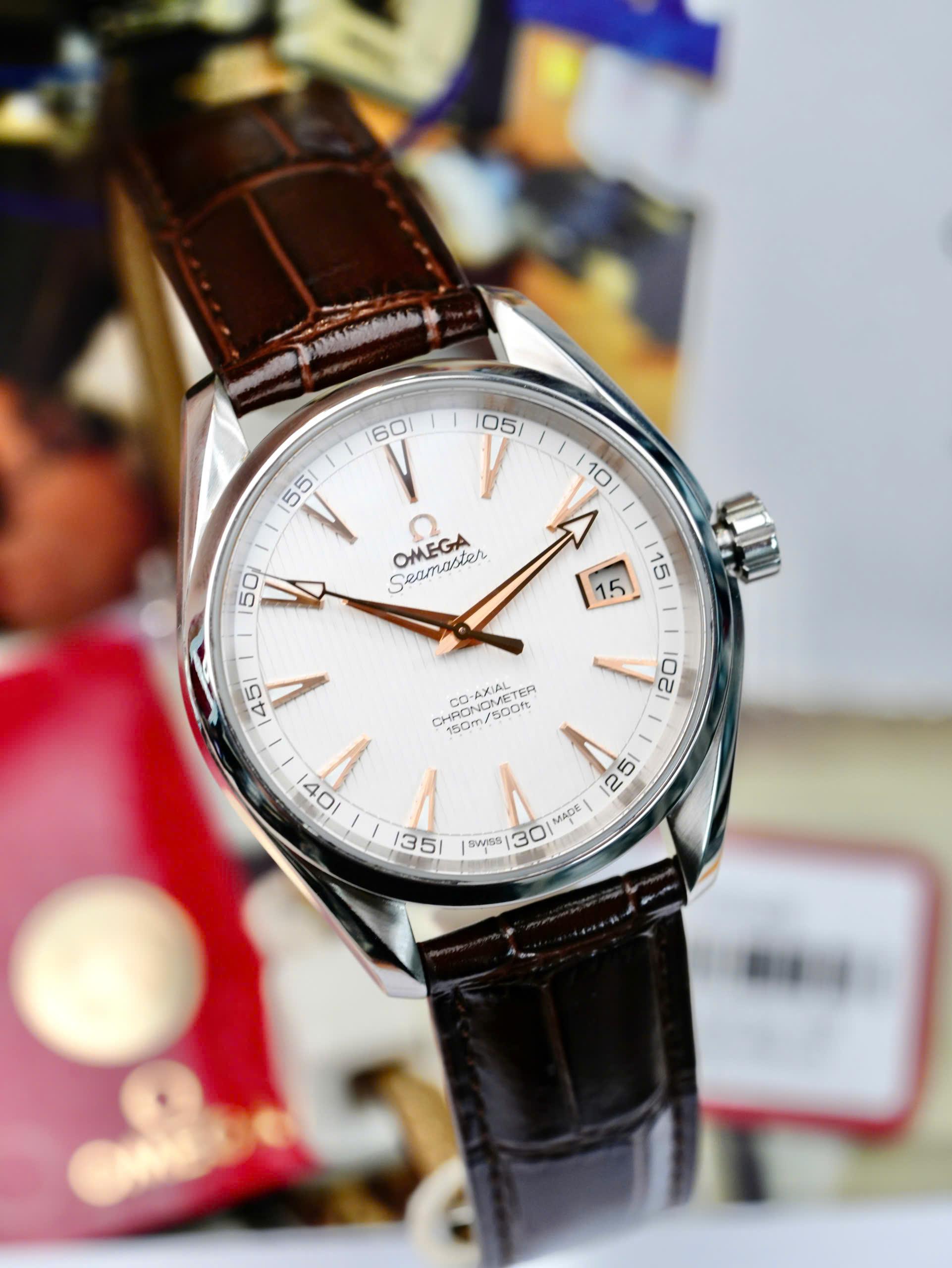 Omega Seamaster Aqua Terra 231.13.42.21.02.002