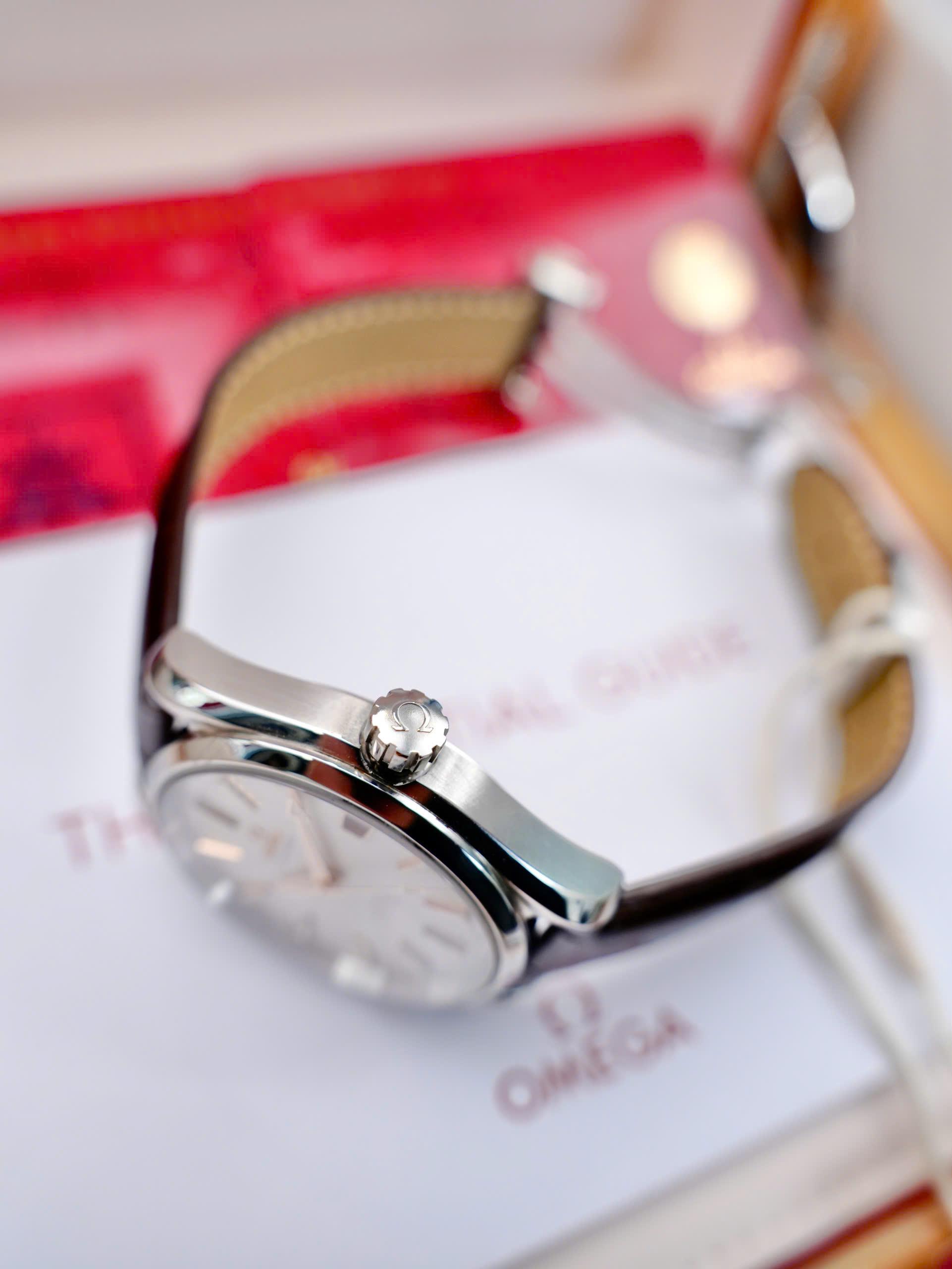 Omega Seamaster Aqua Terra 231.13.42.21.02.002