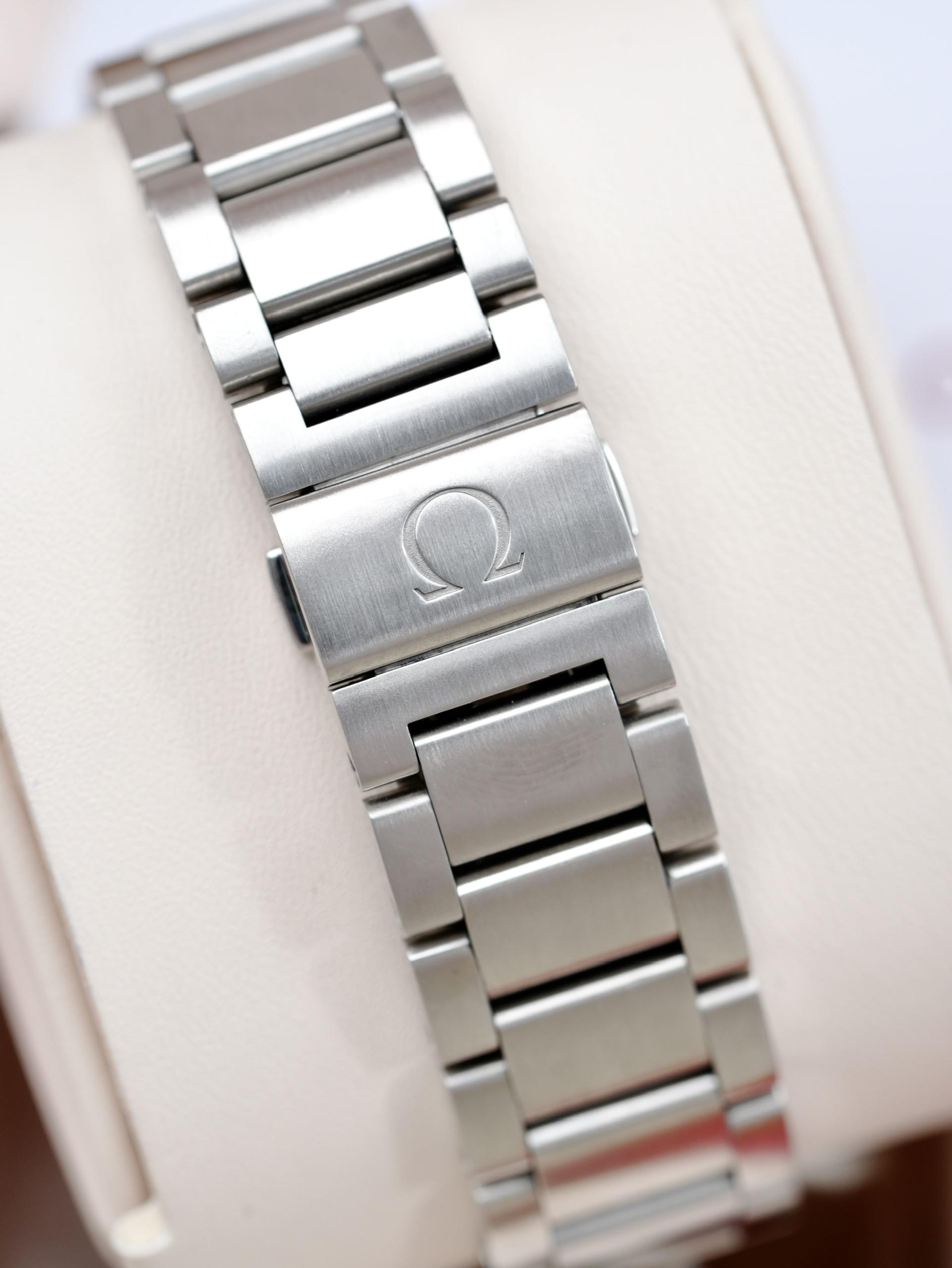 Omega Seamaster Aqua Terra 231.10.42.21.06.001