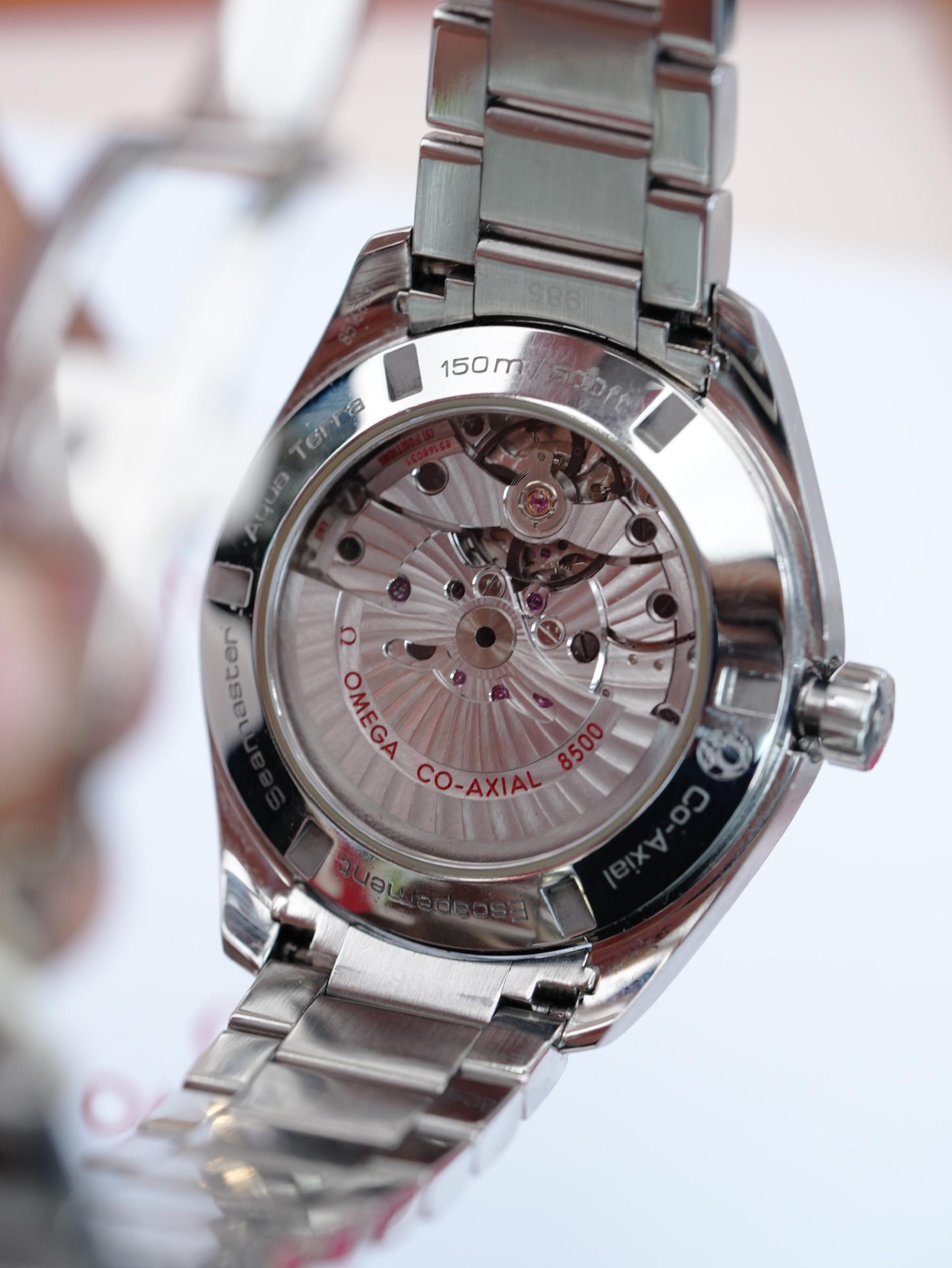 Omega Seamaster Aqua Terra 231.10.42.21.06.001