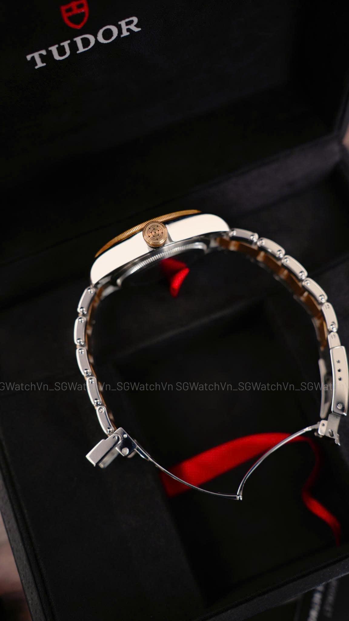 Tudor Black Bay 79733N