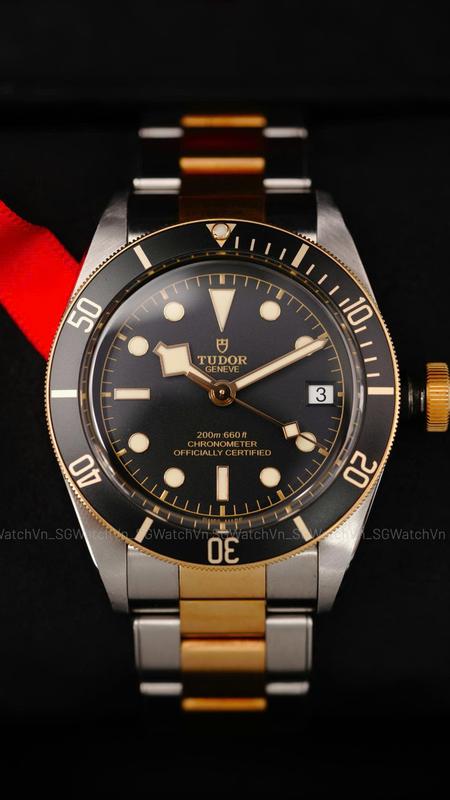 Tudor Black Bay 79733N