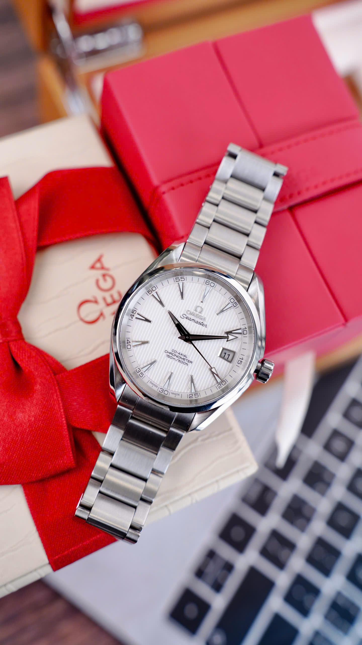 Omega Seamaster Aqua Terra 231.10.42.21.02.001