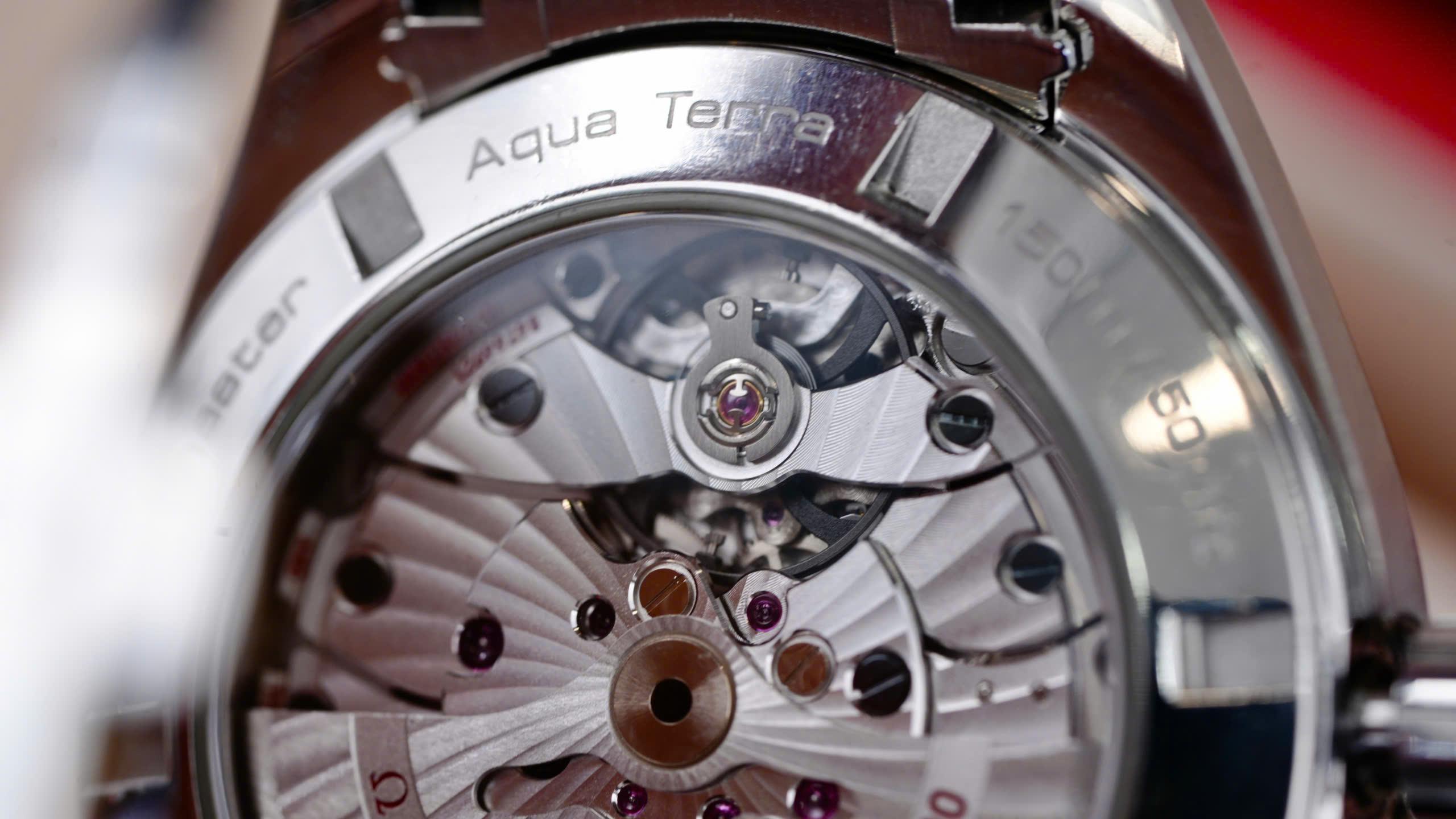 Omega Seamaster Aqua Terra 231.10.42.21.02.001