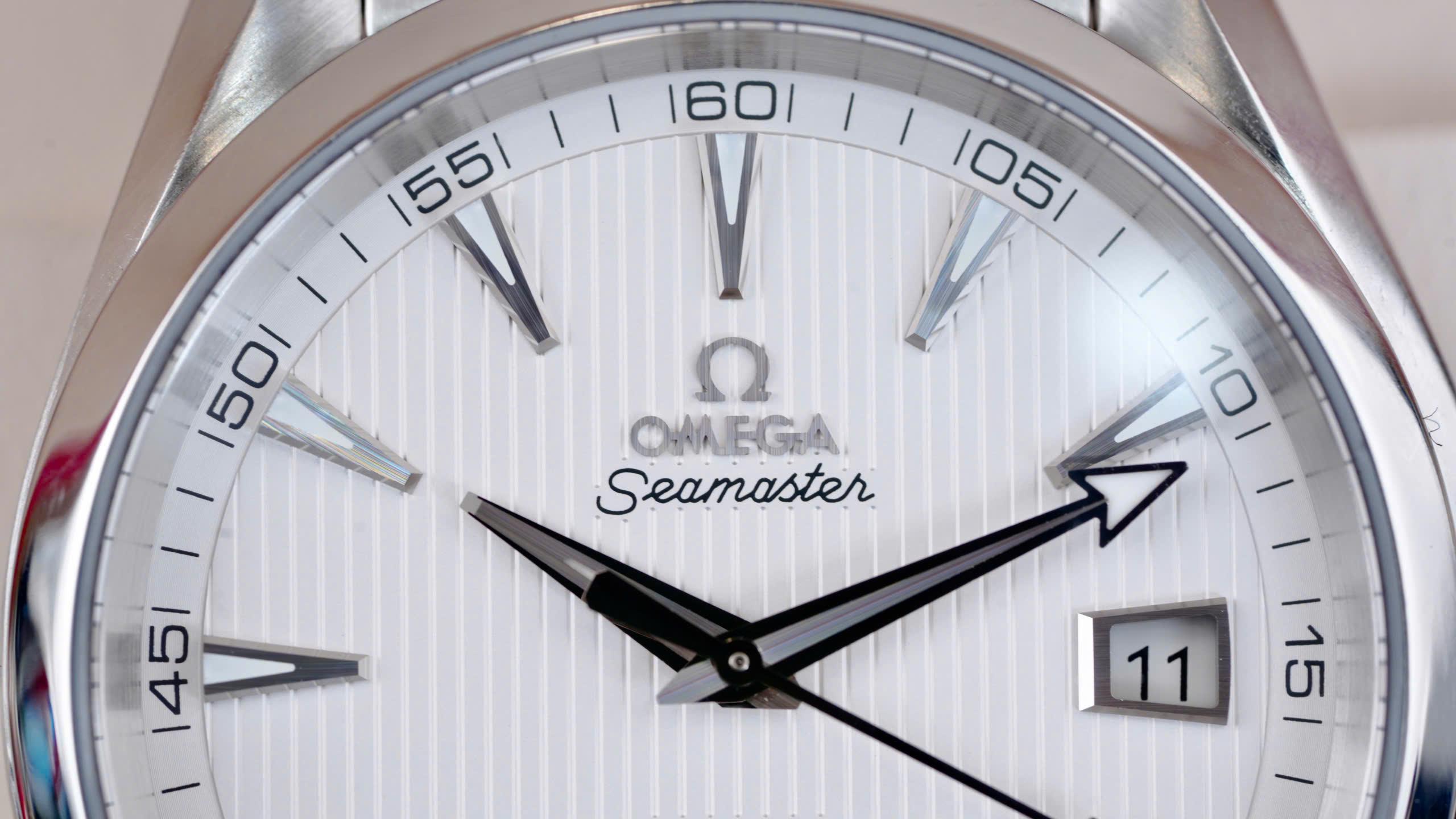 Omega Seamaster Aqua Terra 231.10.42.21.02.001