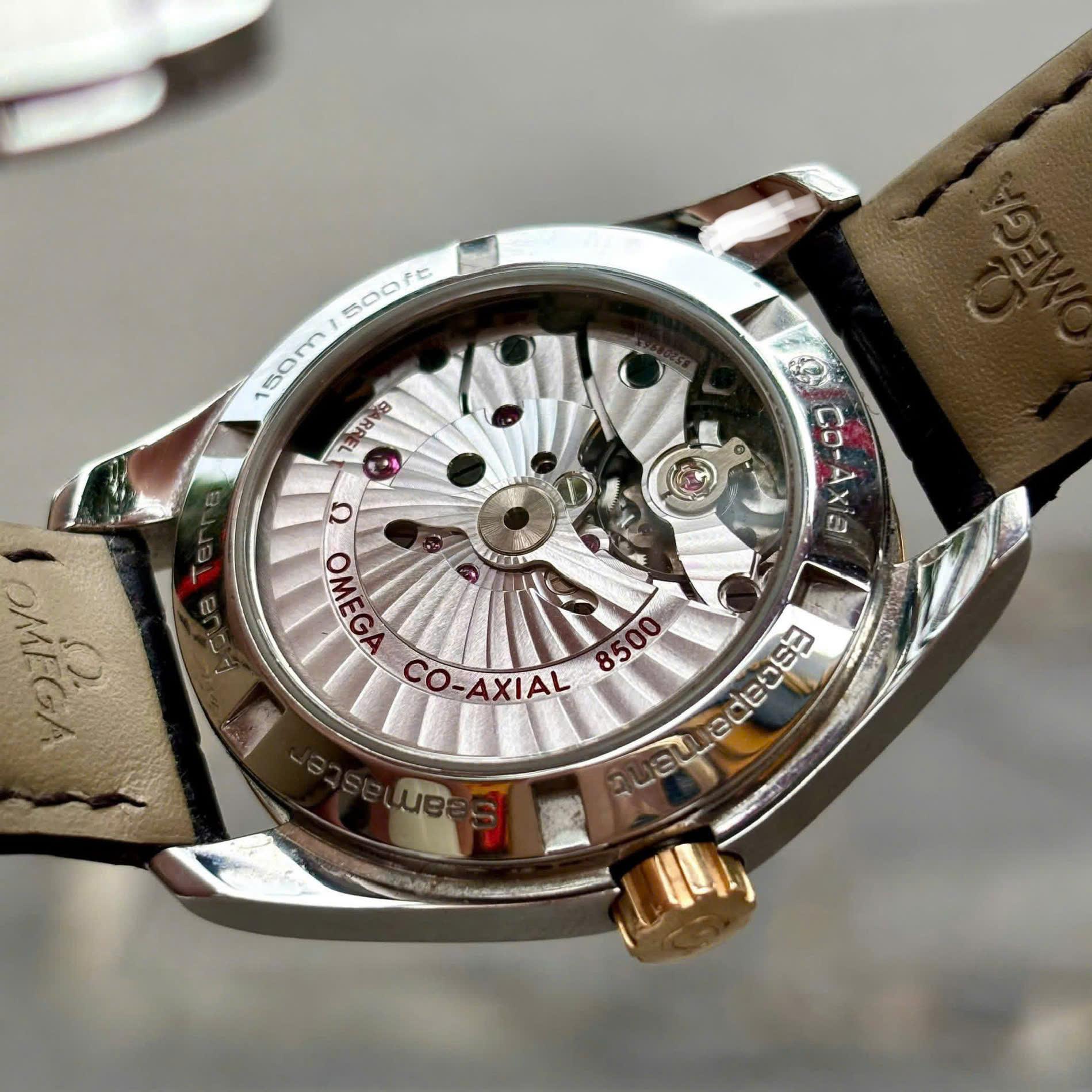 Omega Seamaster Aqua Terra 231.23.39.21.51.001