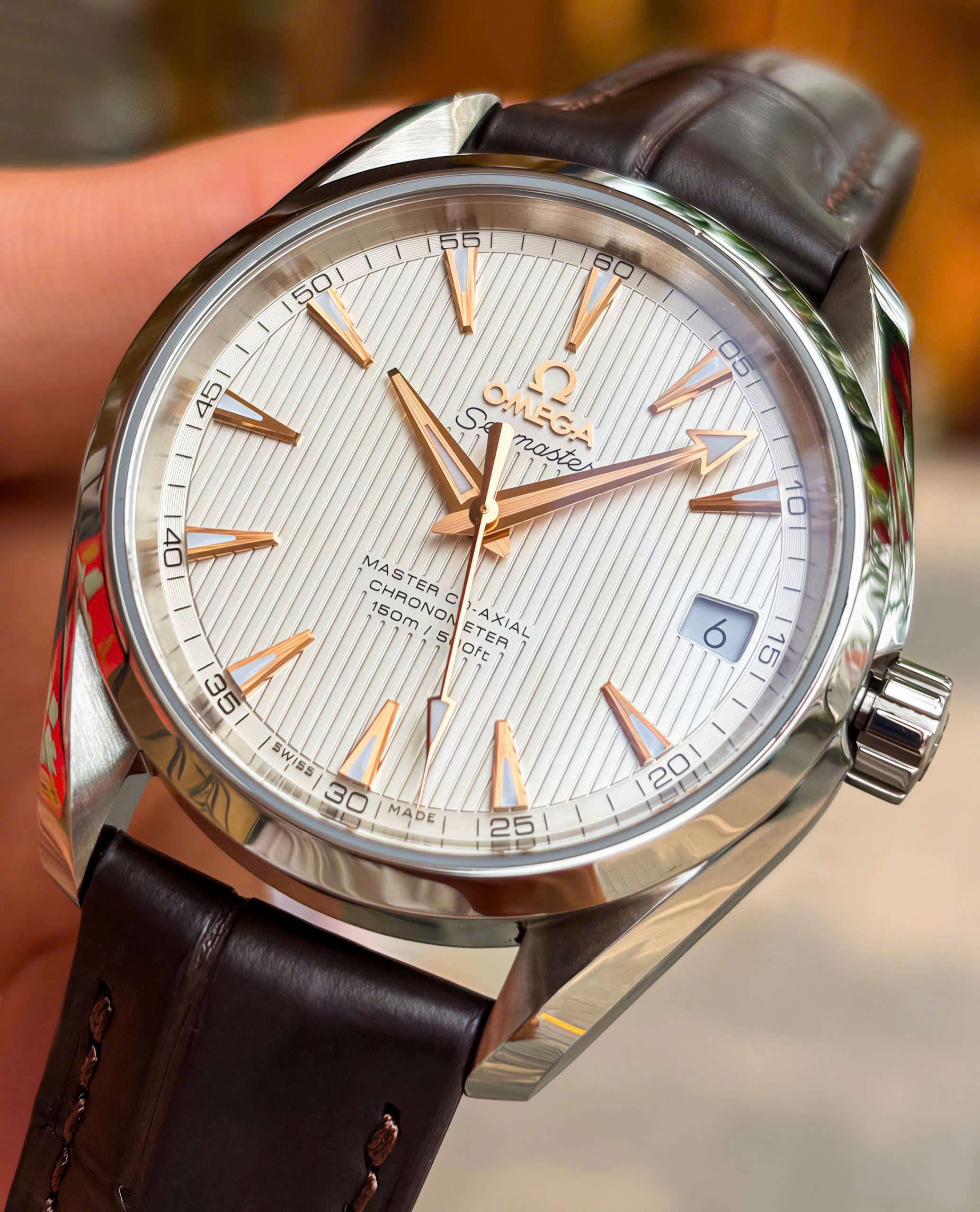Omega Aqua Terra 231.13.39.21.02.003