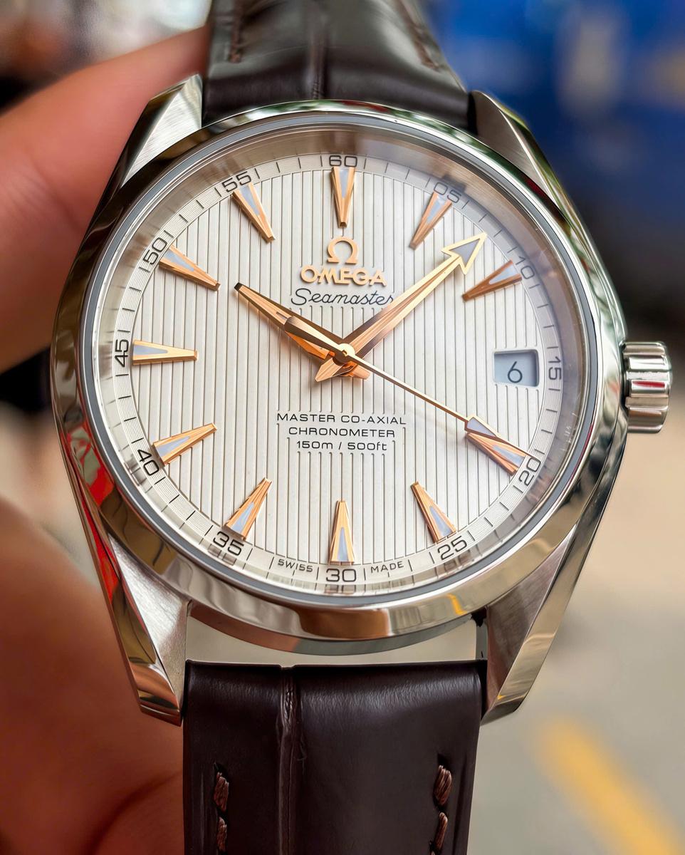 Omega Aqua Terra 231.13.39.21.02.003