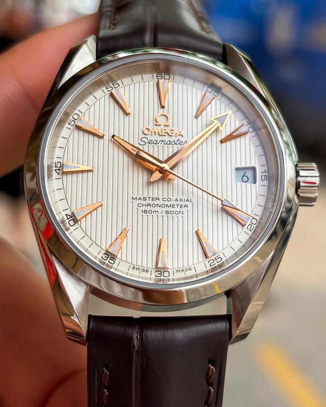 Omega Aqua Terra 231.13.39.21.02.003