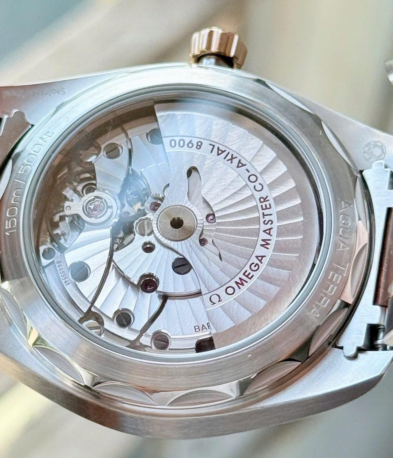 Omega Aqua Terra 220.20.41.21.02.001