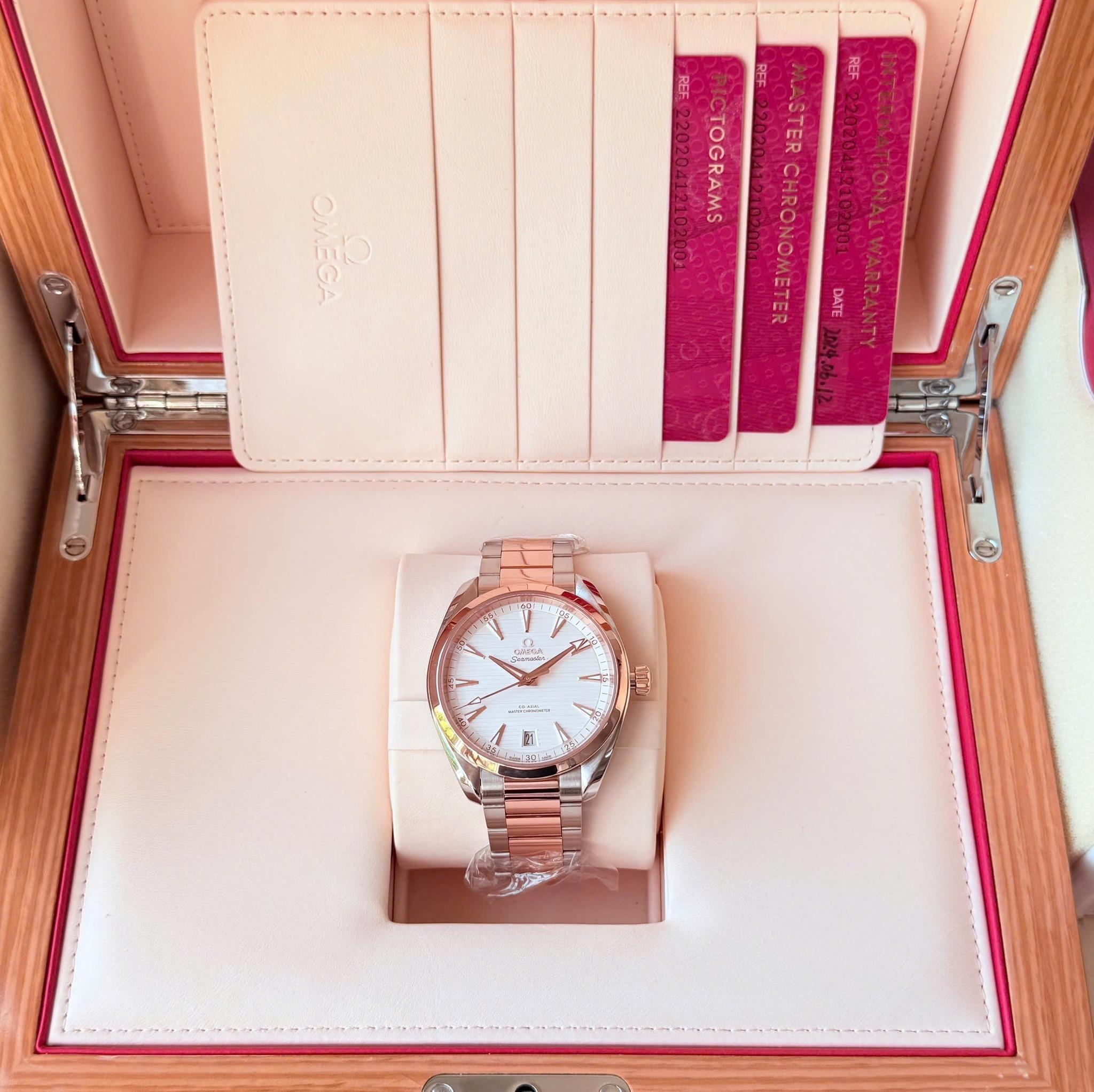 Omega Aqua Terra 220.20.41.21.02.001
