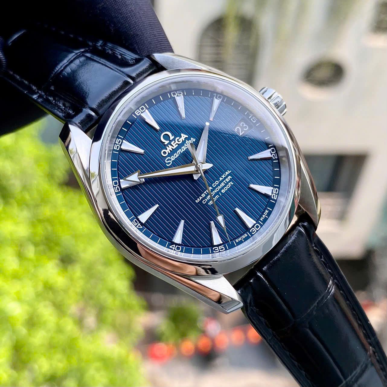 Omega Aqua Terra 231.13.39.21.03.001
