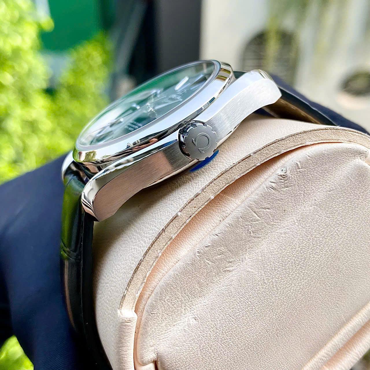Omega Aqua Terra 231.13.39.21.03.001
