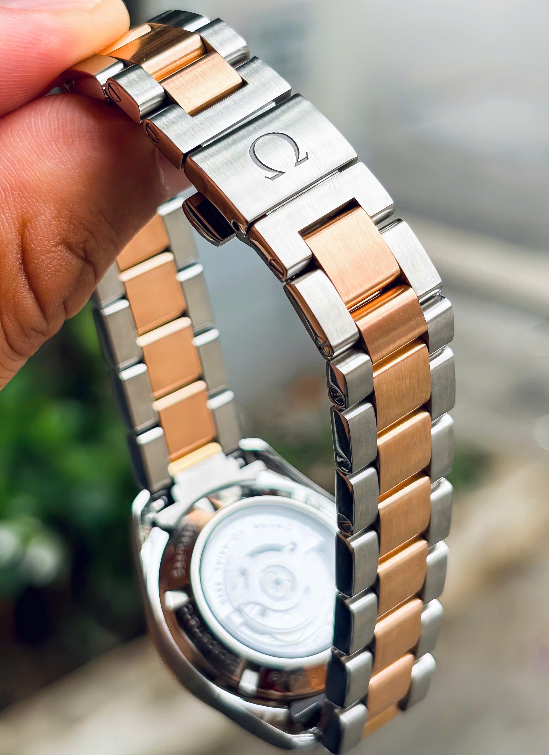 Omega Aqua Terra 231.20.30.20.55.001