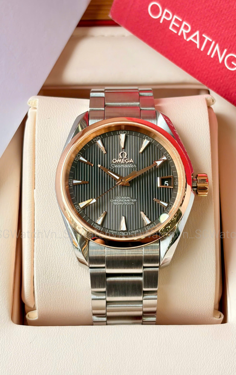 Omega Seamaster Aqua Terra 231.20.39.21.06.003