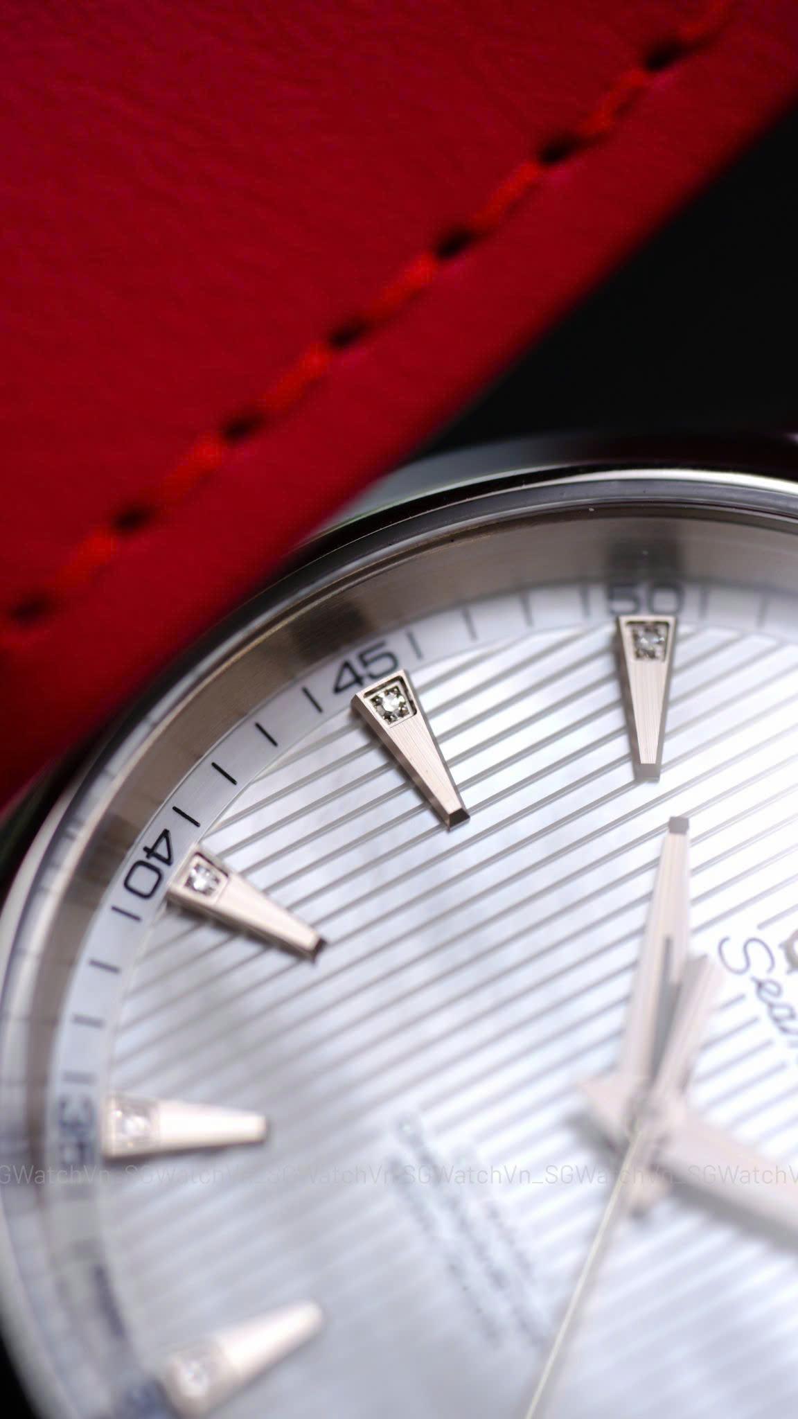 Omega Seamaster Aqua Terra 231.10.39.21.55.001