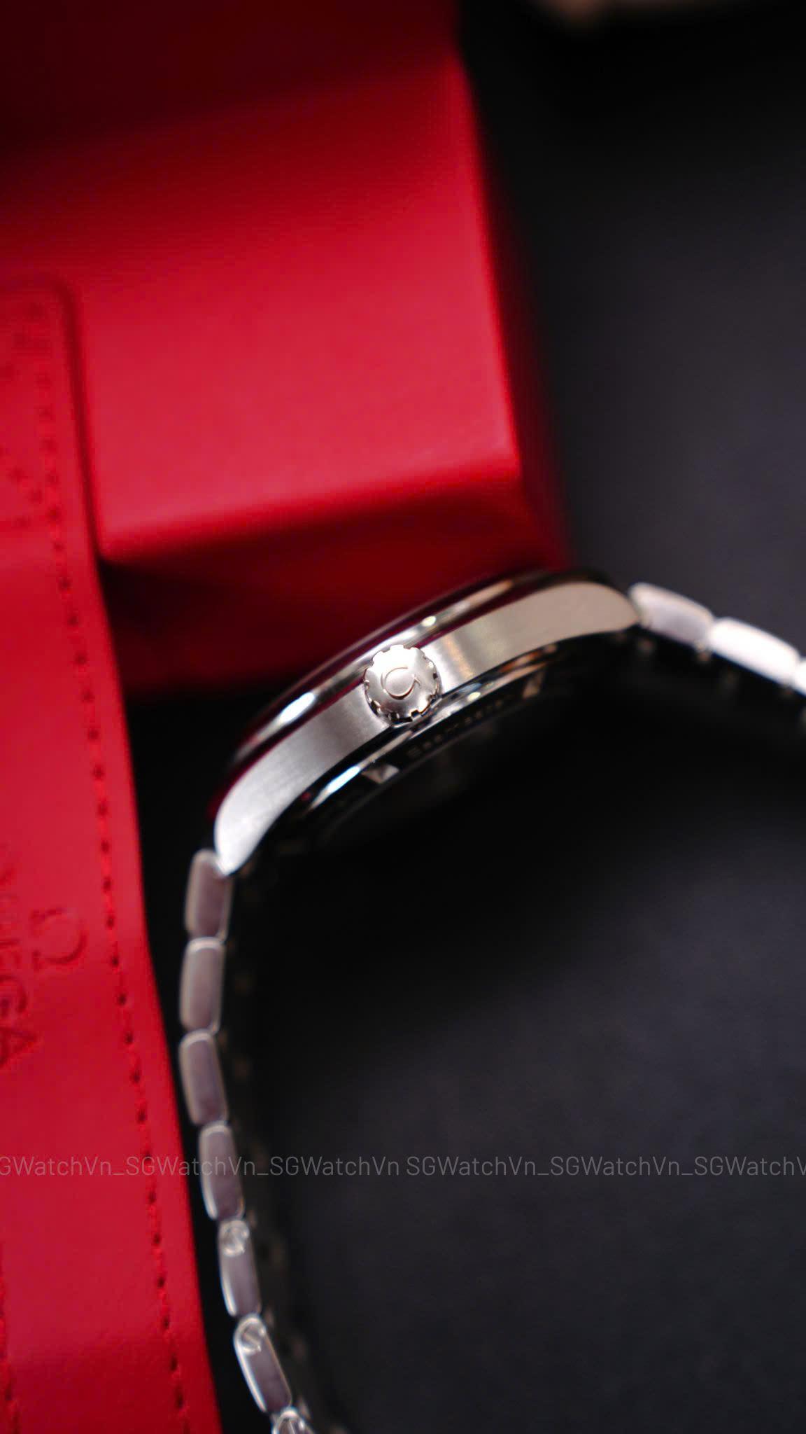 Omega Seamaster Aqua Terra 231.10.39.21.55.001