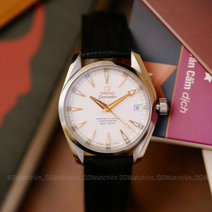 Omega Seamaster Aqua Terra 150M 231.13.39.21.02.003
