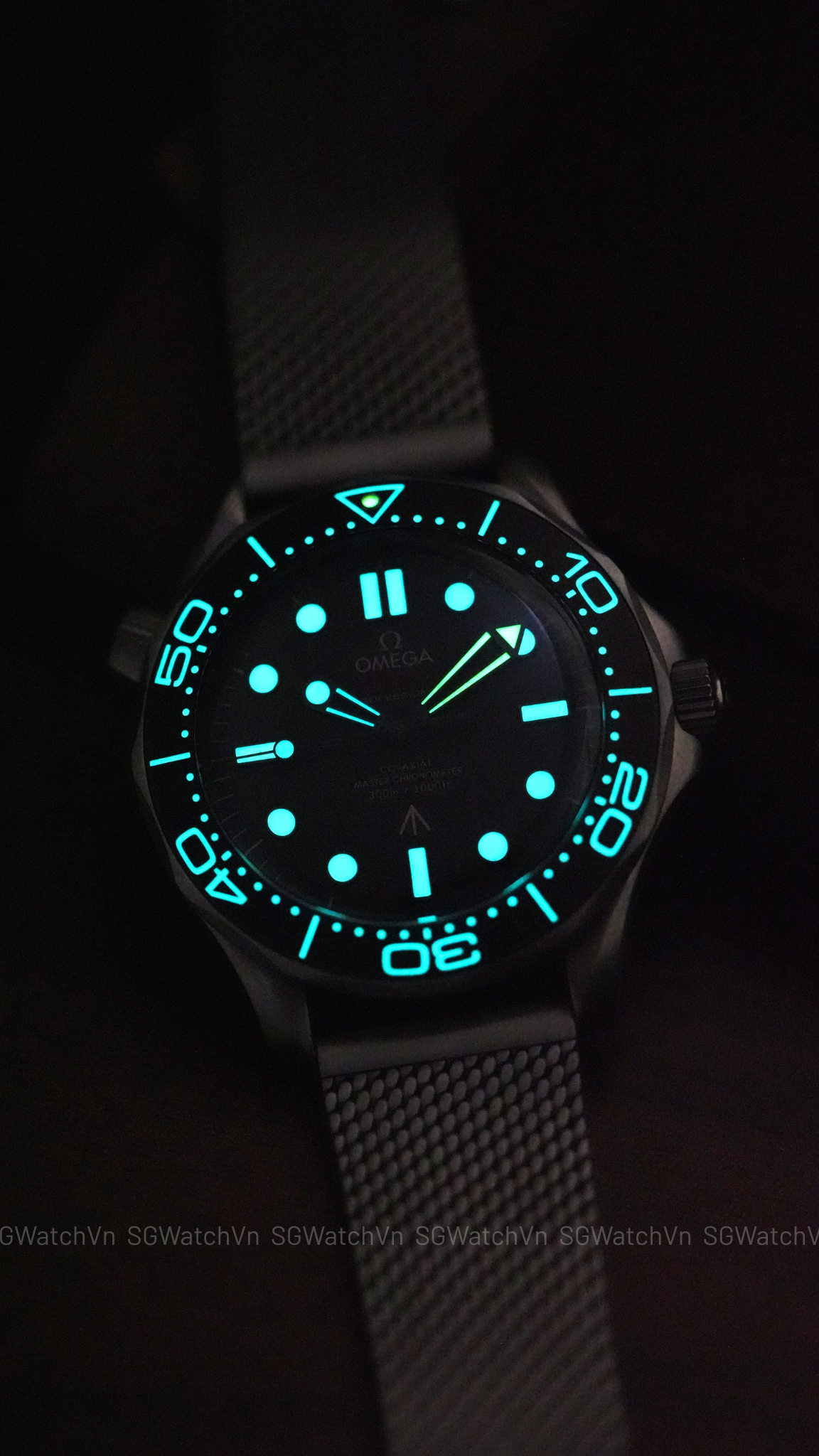 Omega Seamaster Diver 300M 007 Edition 210.90.42.20.01.001 – Titanium 42mm, No Time To Die